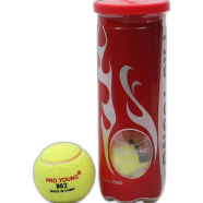 Pro Young Tennis Ball Cricket Special 1 Can