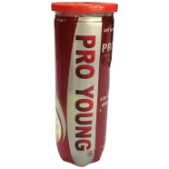 Pro Young Tennis Ball Cricket Special 1 Can