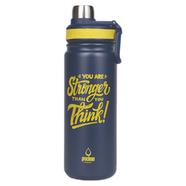 Proclean Fit N Shine Sports Bottle (SS Thermos) – 650 Ml