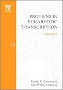 Proteins in Eukaryotic Transcription