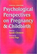 Psychological Perspectives on Pregnancy and Childbirth
