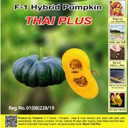 Naomi Seed Pumpkin Thai Plus - 5 gm