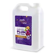 Earth Beauty and You Purifying Plum Hand Wash-5L