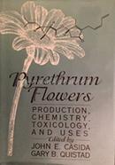 Pyrethrum Flowers
