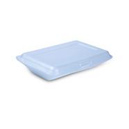 RFL Dispo Snacks Box (Medium Size)100 Pcs Set-White - 838216