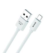 RIVO CT-101 BS 3A-USB to Micro-B Cable