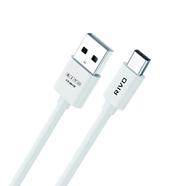 RIVO CT-101 CS 3A-USB to Type-C cable