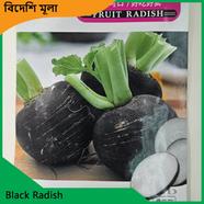 Radish Seeds- Black Radish