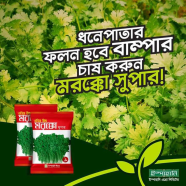 Re-Pack Aromatic Morocco Dhoniya Pata Beej
