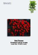 Red Flower | 3D Border Canvas Frame