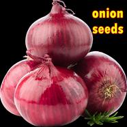 Red Hybrid Onion Seeds 1gm Re-Pack