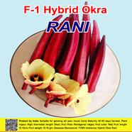 Naomi Seed Red Okra Rani - 5 gm