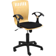 Regal Office Chair - Swivel CSC-208-7-1-66 | - 811299 icon