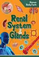 Renal System And Glands