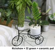 Rickshaw Planter ZZ Green With Ceramic Pot - 317