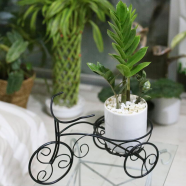 Rickshaw Planter ZZ Green With Ceramic Pot - 317 icon