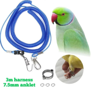 Ringneck Parrot/ Sun Conour Bird Anklet/ Leg Ring for Pet Bird Accessories icon