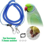 Ringneck Parrot/ Sun Conour Bird Anklet/ Leg Ring for Pet Bird Accessories