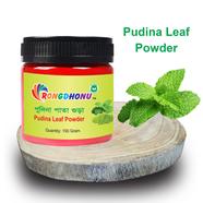 Rongdhonu Pudina Pata Powder, Mint Leaf Powder (পুদিনাপাতা পাউডার, পুদিনা পাতা গুড়া) - 100 gm