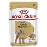 Royal Canin Adult Poodle Dog Food - 85 gm