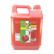 Ruchi Hot Tomato Sauce-5kg - OC0161