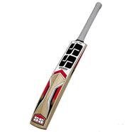 SS Master Kashmir Willow Cricket Bat Short Handle