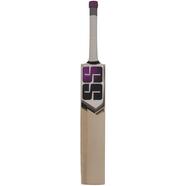 SS Ton Gladiator Cricket Bat English Willow