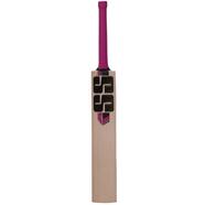 SS Ton Power Play English Willow Cricket Bat