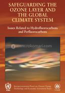 Safeguarding the Ozone Layer and the Global Climate System: Special Report of the Intergovernmental Panel on Climate Change