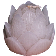 Sankhacura Lotus Flower Fragrance Candle White Color icon