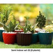 Brikkho Hat Semi Indoor Set-32 | 8 Plants - 426