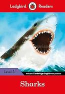 Sharks : Level 3