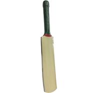 Signature/Autobiography Cricket Bat - 13inch