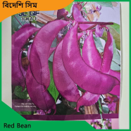 Sim Seeds- Red Bean