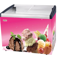 Singer Display Freezer 164 Ltr ICF-256A - SRREF-SINGER-ICF-256A-LP image