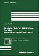 Singular Sets of Minimizers for the Mumford-Shah Functional: 233 