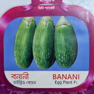 Siraj Tech Banani Egg Plant seeds