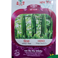 Siraj Tech Hybrid Hero Ridge Gourd 