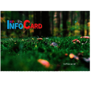 Smart NFC Info Card