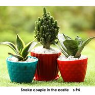 Brikkho Hat Snake Couple in castle - 353