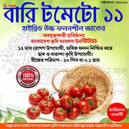 Sobuj Dhaka Garden All Season BARI-11 Tomato Seeds Re-Pack icon