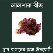 Lal Shak Seeds