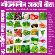 Sobuj Dhaka Garden Winter Seed Combo 25 Item