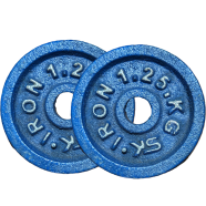 Sports And Fitness 1.25kg Dumbbell Plate 2 Pcs - Blue