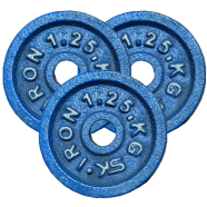 Sports And Fitness 1.25kg Dumbbell Plate 4 Pcs - Blue 