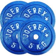 Sports And Fitness 5kg Weight Plate 4 Pcs - Blue