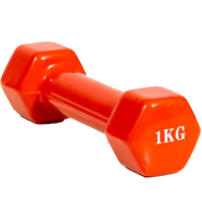 Sports And Fitness Premium Quality 1kg Vinyl Dumbbell 1 Pcs (4 Color Available) 