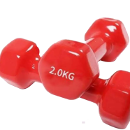 Sports And Fitness Premium Quality 2kg Vinyl Dumbbell 2 Pcs 