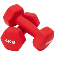 Sports And Fitness Premium Quality 4kg Vinyl Dumbbell 2 Pcs 