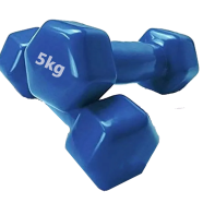 Sports And Fitness Premium Quality 5kg Vinyl Dumbbell 2 Pcs